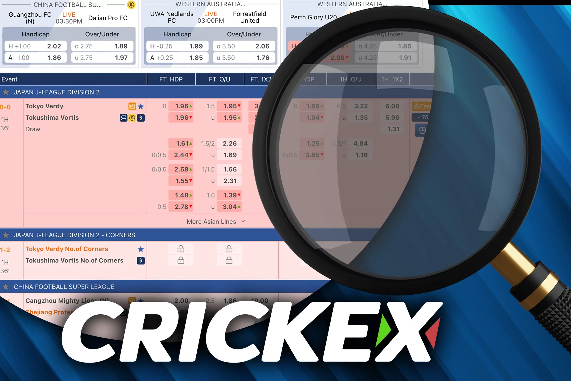 There are pretty attractive odds for betting at Crickex.
