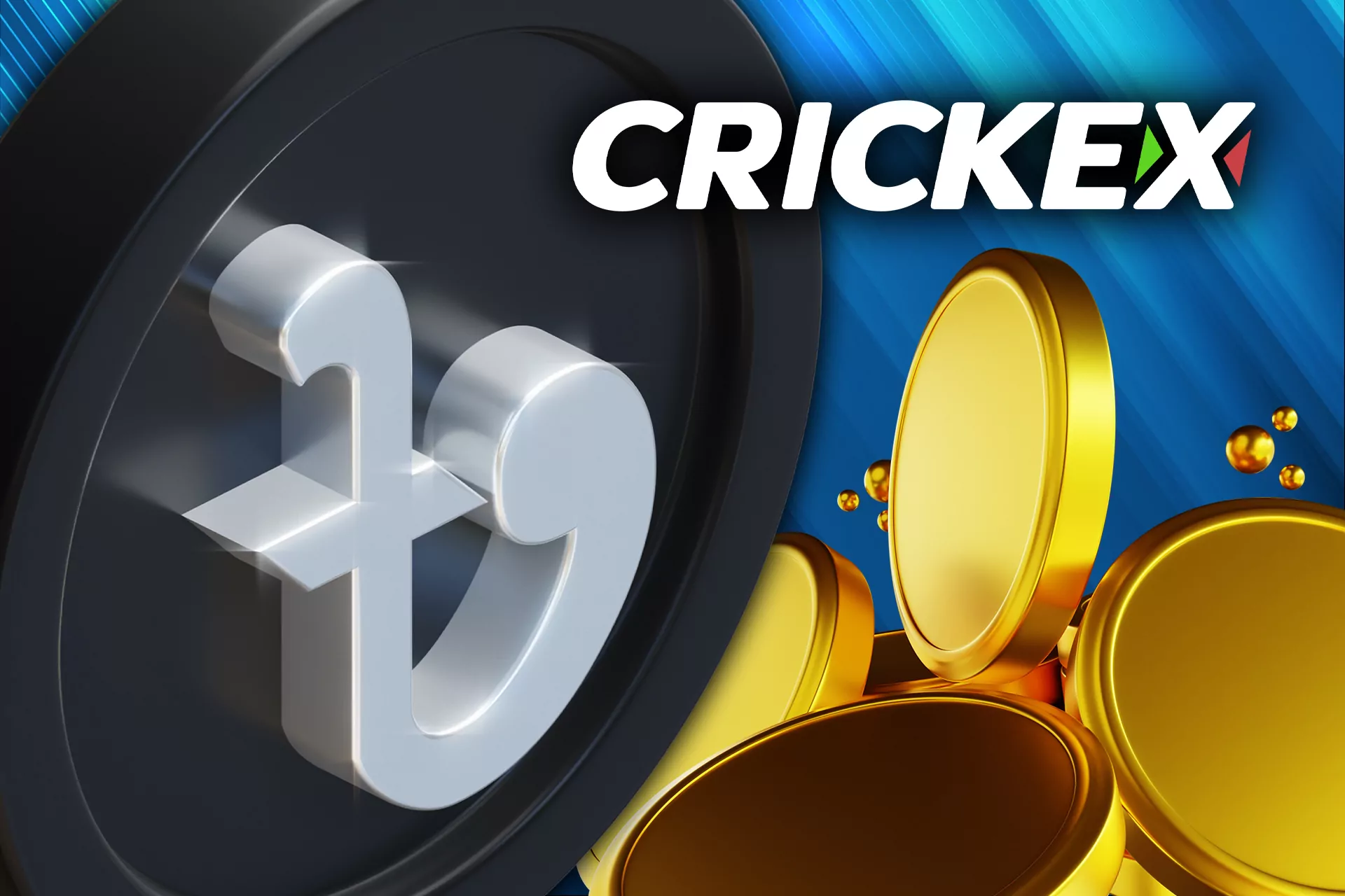A user can make deposits and withdrawals with the payment systems presented on the Crickex site.