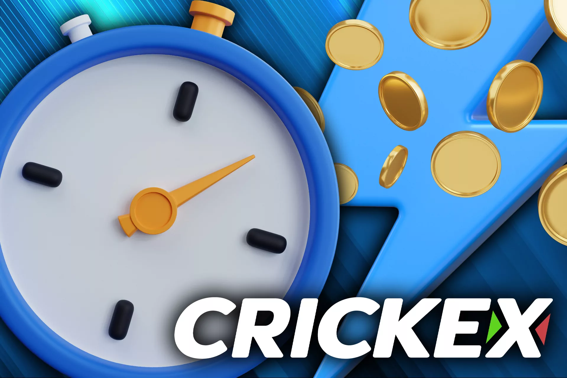 Make instant payment at Crickex.