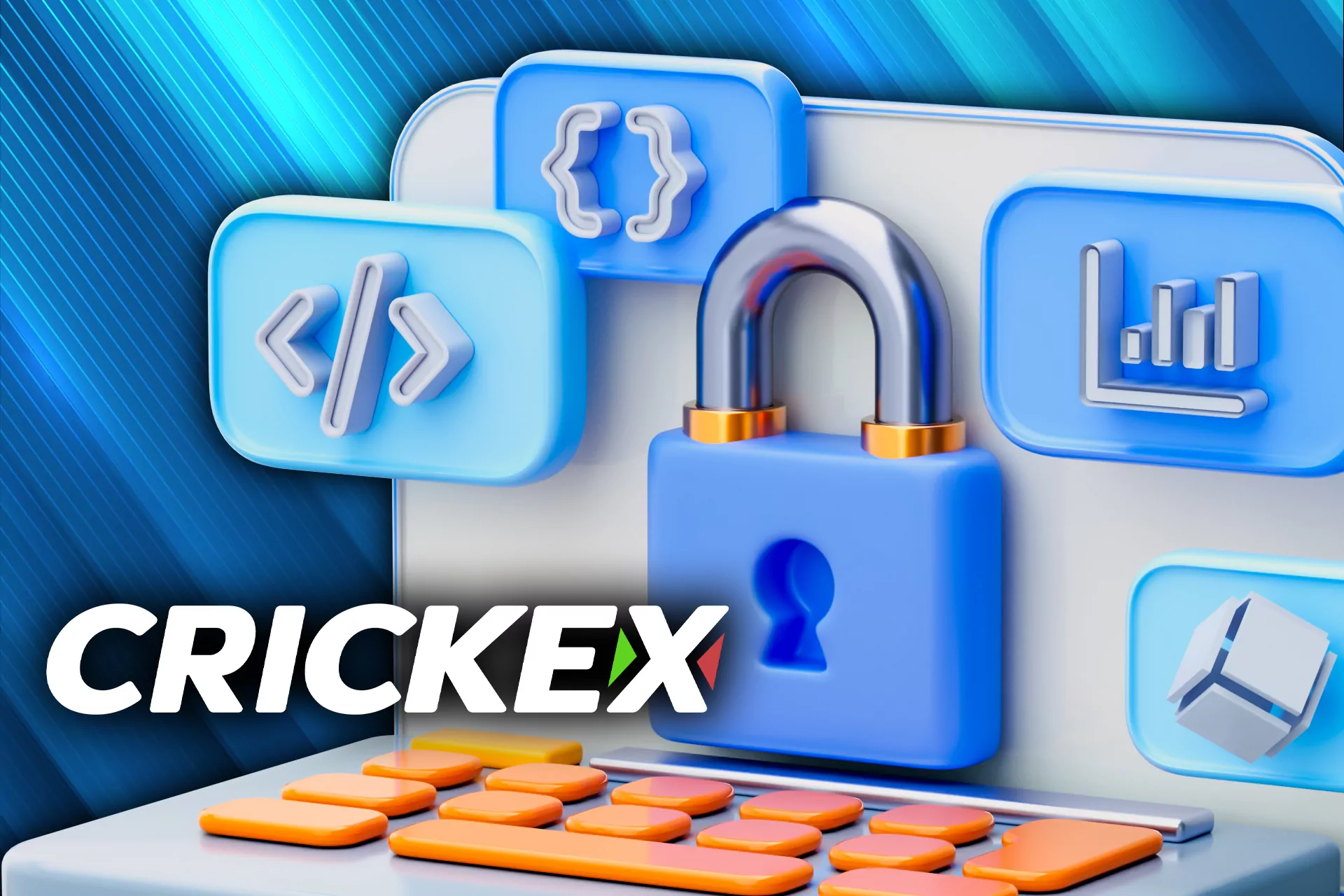 All the users data on the Crickex site is encrypted.