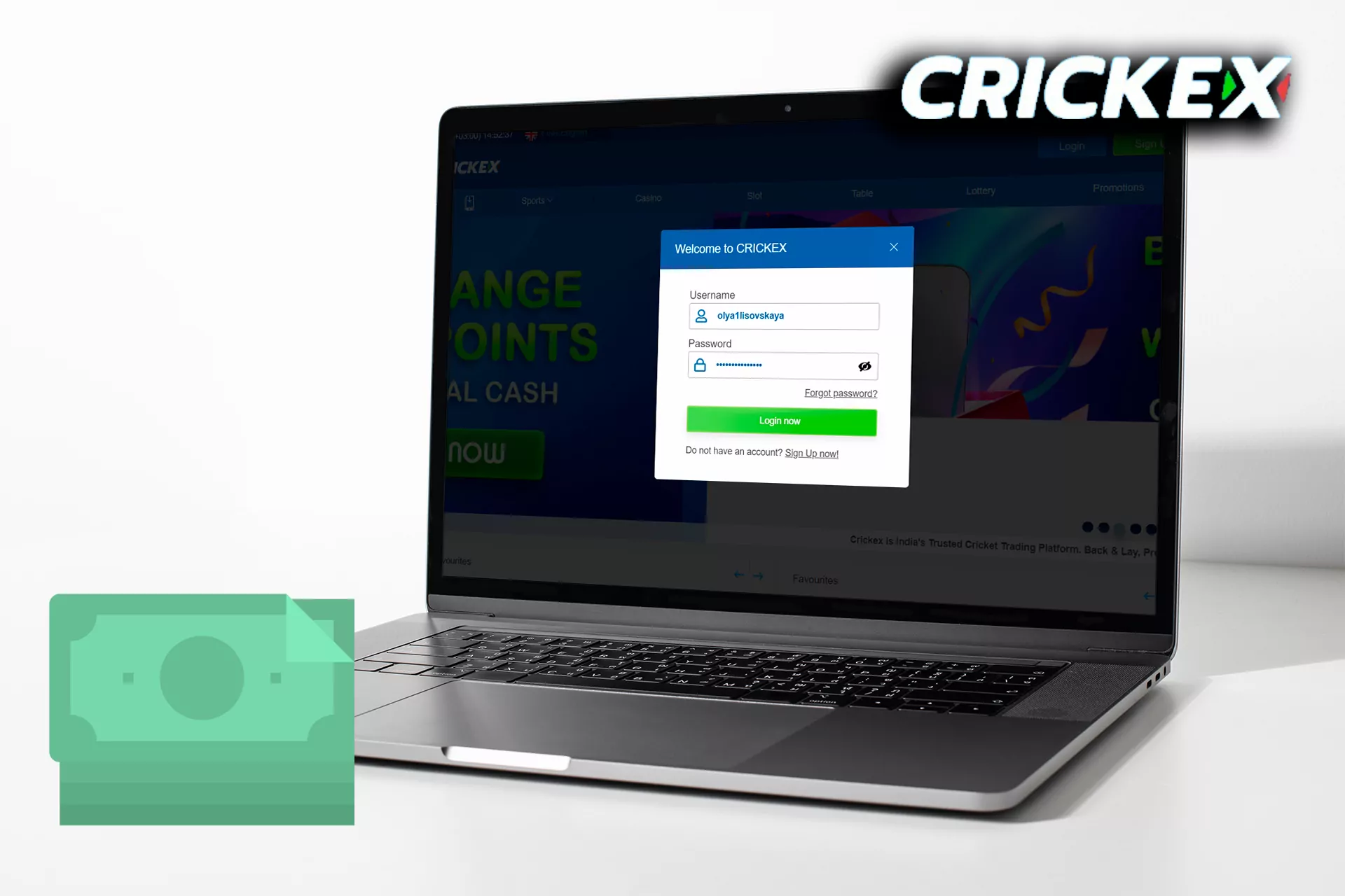 Log in to your Crickex account.